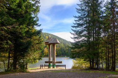 Dağ Gölü Synevir, Ukrayna. Sonbahar gününe kadar Synevir yüksek irtifa gölü manzarası. Yaprak düşer ormanlara, göle ve dağlara.