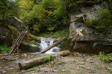 Vorota Şelalesi, Sonbahar Ormanı 'nda Velykyi Roztoky' de Bukovynski şelaleleri. Carpathian Dağları, Chernivtsi oblast, Ukrayna.