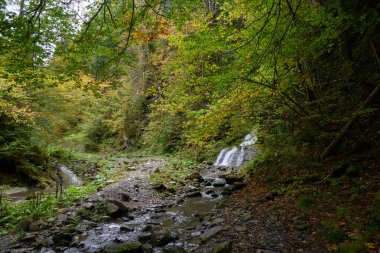 Şelale Seredniy Huk, Sonbahar ormanlarında Velykyi Roztoky 'de Bukovynski şelaleleri. Carpathian Dağları, Chernivtsi oblast, Ukrayna.