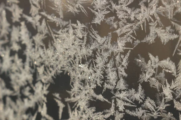 frost drawings on glass window