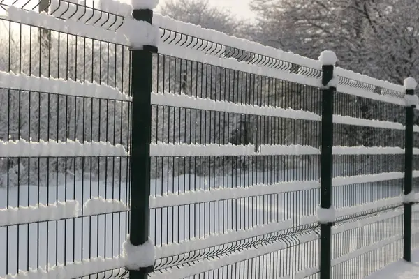 winter and snow drawings on the fence graphic arts