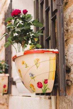 Evin duvarında saksı var.