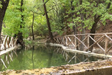 Kelebek Vadisi Rhodes ormanında küçük bir köprü