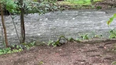 Nehrin hafif su baskını sakinleştirici seslerle