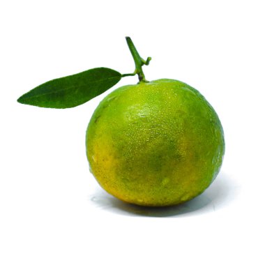 olgun mandarin narenciye portakal izole mandalina portakal meyvesi beyaz arka planda