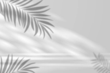 Duvarında palmiye yapraklarının gölgesi olan beyaz soyut bir arka plan. Beyaz duvarda palmiye yapraklarının bulanık gölgesi.