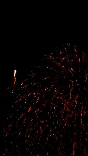 夜空のピクニック花火のクローズアップ — ストック動画