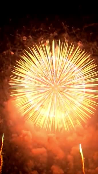 Gros Plan Pyrotechnique Explosions Feux Artifice Dans Ciel Nocturne — Video