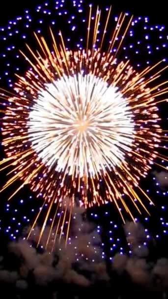 Close Pyrotechnic Fireworks Explosions Night Sky — Stock Video