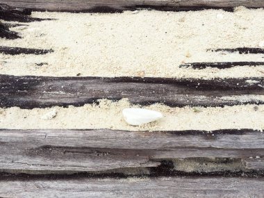 Düşmüş, çürümüş ve deniz suyuna maruz kalmış ağaçların kabuğu arasındaki beyaz kumlar eşsiz ve antika bir doku oluşturuyor..