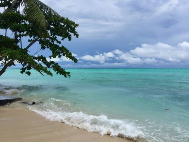 Beyaz kumların kenarındaki ağaçların görüntüsü ve Endonezya 'daki Derawan Adası' nın arka planı olarak büyüleyici turkuaz mavi deniz..