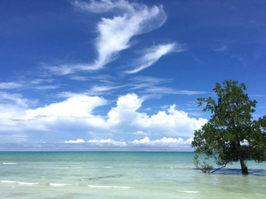 Beyaz kumsalda gün boyunca sakin manzaralar dalgaların dalgalarını ve beyaz bulutlarla süslenmiş mavi gökyüzünü görmek..