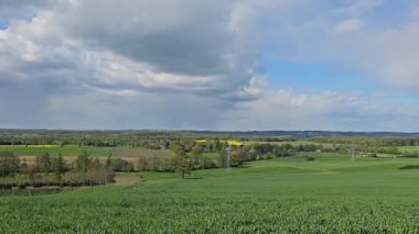 Arkasında bulutlu bir gökyüzü olan yeşil çimen tarlası.