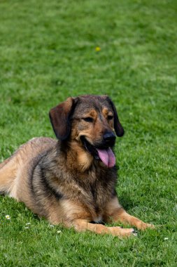 Gut Rdinghausen 'in girişi