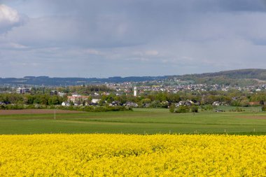Arkasında bulutlu bir gökyüzü olan sarı bir çiçek tarlası.