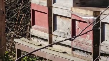 Eski ev ahşaptan yapılmıştır..