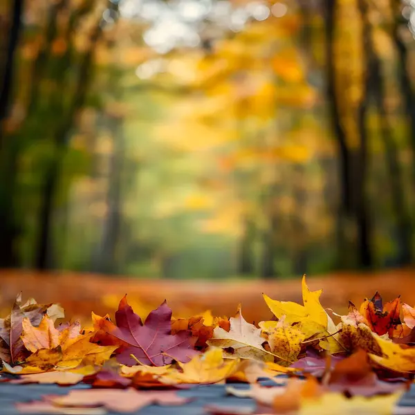 turuncu yaprak zemin üzerinde bulanık fotoğraf