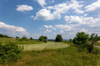 Arka planda birkaç ağaç olan bir çim tarlası. Gökyüzü mavi ve bulutlu.