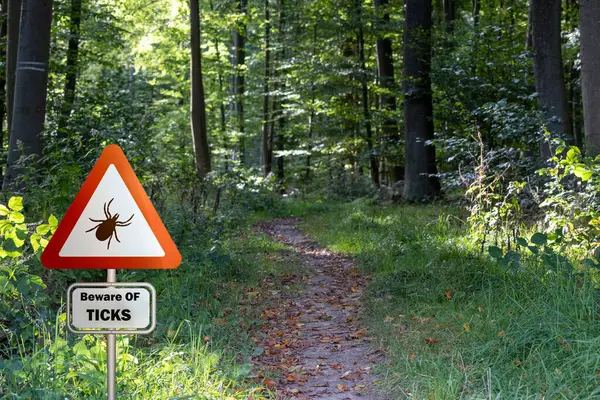 Ormandaki keneler için uyarı işareti. Kene ve Lyme hastalığı riski.