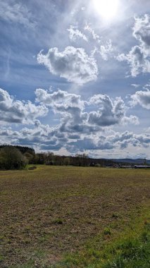 Geniş bir çimen ve mavi gökyüzü olan güzel bir manzara.