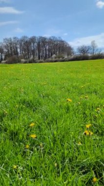 Kırsal alanda yeşil alan