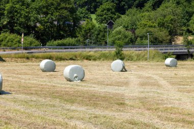 A field of hay bales is spread out across the grassy field clipart