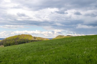Arka planda bulutlu bir gökyüzü olan bir ot tarlası.