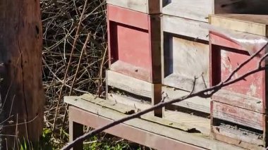 Parktaki eski ahşap çit