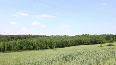 Yeşil çim alan mavi gökyüzü ve bulutlar