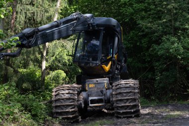 Forestry machine in the forest: Harvester for logging and forestry work