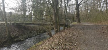 Tranquil Peyzaj: Köprü, Akıntı ve Çıplak Ağaçlar