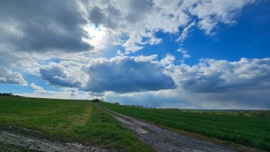 Arkasında bulutlu bir gökyüzü olan yeşil çimen tarlası.