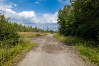 Yaz doğasında yürüyüş yapmak.