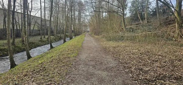Huzurlu Ormanlık Akan Nehrin Yanındaki Yol