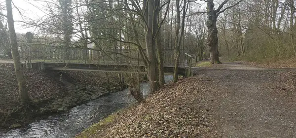 Tranquil Peyzaj: Köprü, Akıntı ve Çıplak Ağaçlar