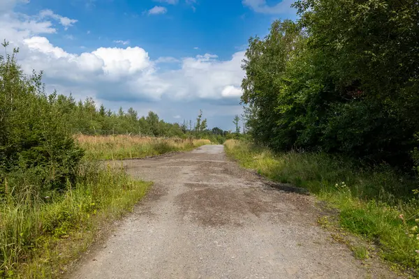 Yaz doğasında yürüyüş yapmak.