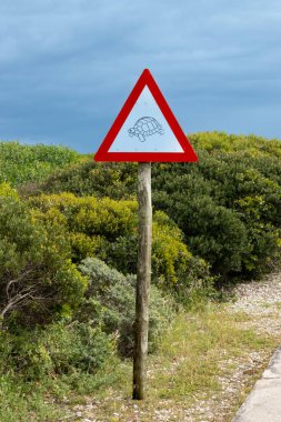 Güney Afrika 'da araba sürerken yolda vahşi kaplumbağaları kontrol etmek için uyarı işareti