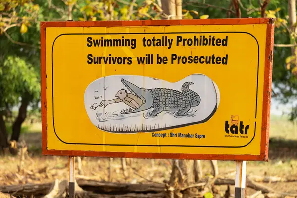 Hint Paten Kuşu Hint Ormanı 'nda bir ağaç dalına tünemiş.