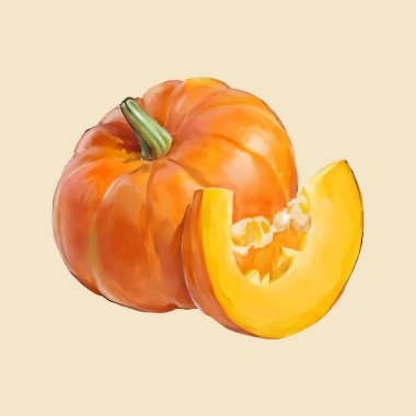 Suluboya vektör kabak çizimi