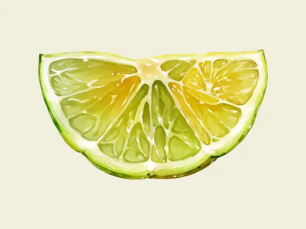 Suluboya vektör dilimi