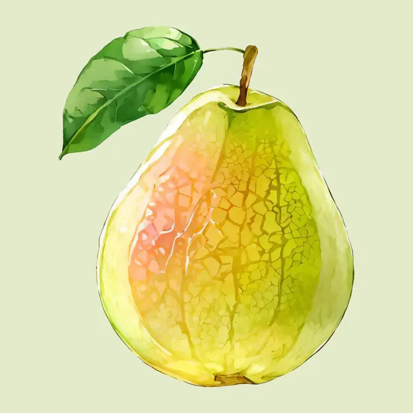 Suluboya vektör armut