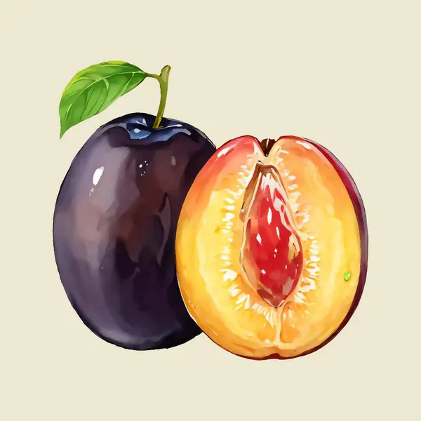 Suluboya vektör çizimi