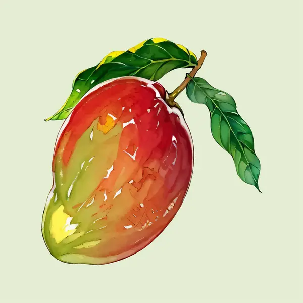 Suluboya vektörü mango meyvesi