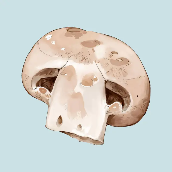 Suluboya vektör mantar çizimi