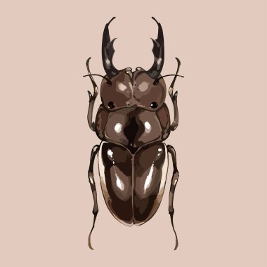 Su rengi vektörü Böcek çizimi