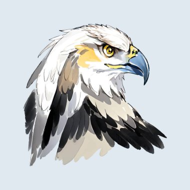 Su renk vektörü Eagle Bird illüstrasyonu