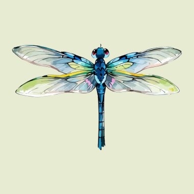 Su rengi Dragonfly illüstrasyonu