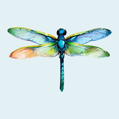 Su rengi Dragonfly illüstrasyonu