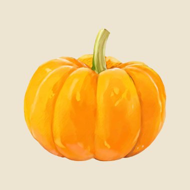 Su rengi vektörü basit kabak illüstrasyonu