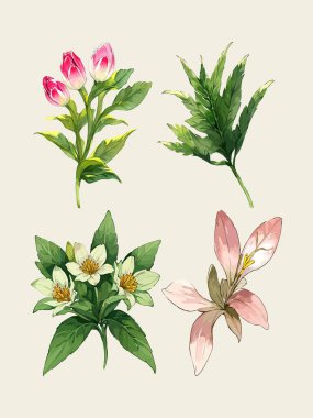 Çiçek yaprakları koleksiyonunun su rengi vektörü